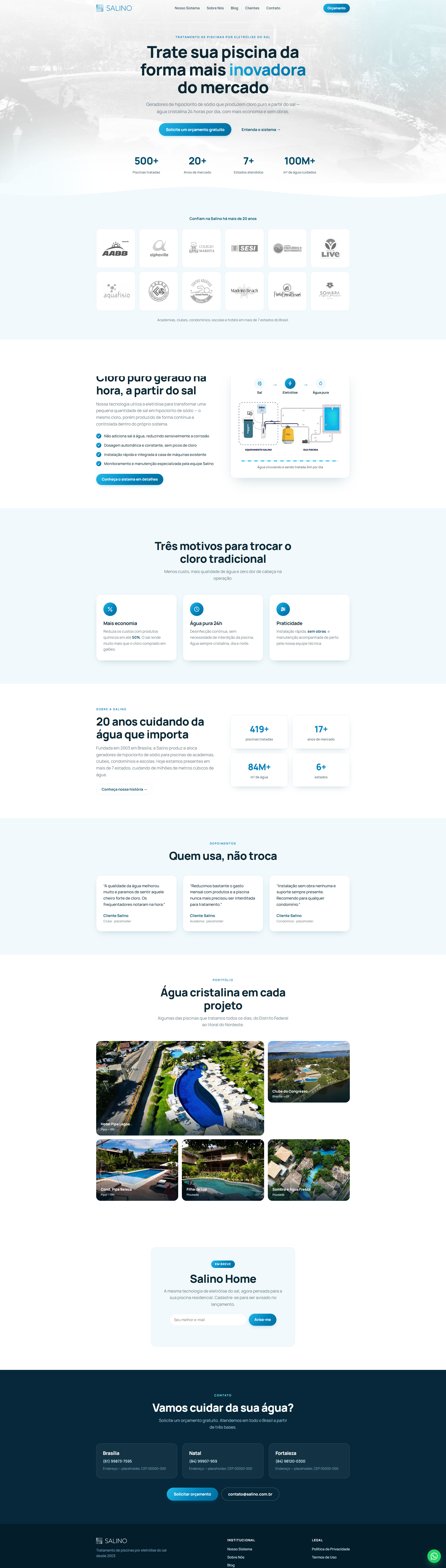 Print do site institucional da Salino